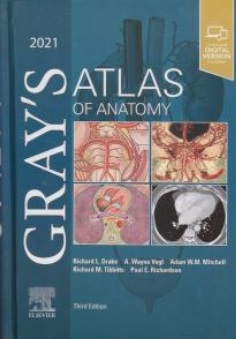 کتاب اطلس آناتومی گری زبان اصلی  ( atlas  grays  2021  ) اثر ریچارددراک تیبیتس نشر آرتین طب