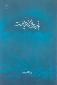 زیر بارانی که نیست اثر بی تا امیری