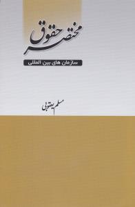 مختصر حقوق سازمانهای بین المللی اثر مسلم  یعقوبی