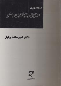 ضمانت اجرای حقوق بنیادین بشر تعهد به ترغیب و تضمین رعایت اثر امیر ساعد وکیل