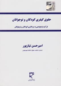 حقوق کیفری کودکان و نوجوانان فرآیند پاسخ دهی به بزه کاری کودکان و نوجوانان اثر امیرحسن نیازپور