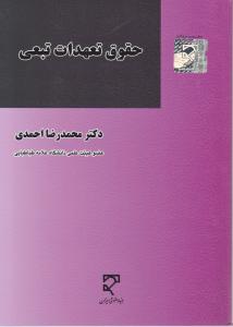 حقوق تعهدات تبعی اثر محمدرضا احمدی