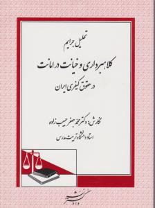 تحلیل جرایم کلاهبرداری و خیانت در امانت در حقوق کیفری ایران اثر محمدجعفرحبیب زاده