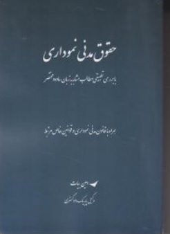 کتاب حقوق مدنی نموداری اثر امین بیات نشر چتر دانش