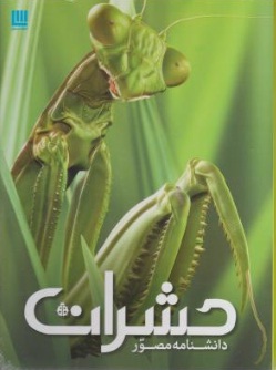 دانشنامه مصور حشرات