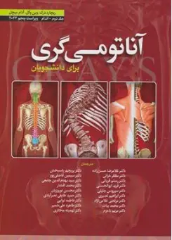 کتاب آناتومی گری برای دانشجویان جلد دوم : اندام ویرایش پنجم (2024) اثر گری ریچارد درک ترجمه حسن زاده نشر ابن سینا