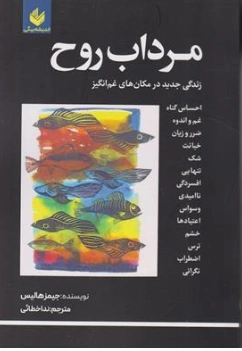 کتاب مرداب روح (زندگی جدید در مکان های غم انگیز) اثر جیمز هالیس ترجمه ندا خطائی نشر اندیشه بیگی