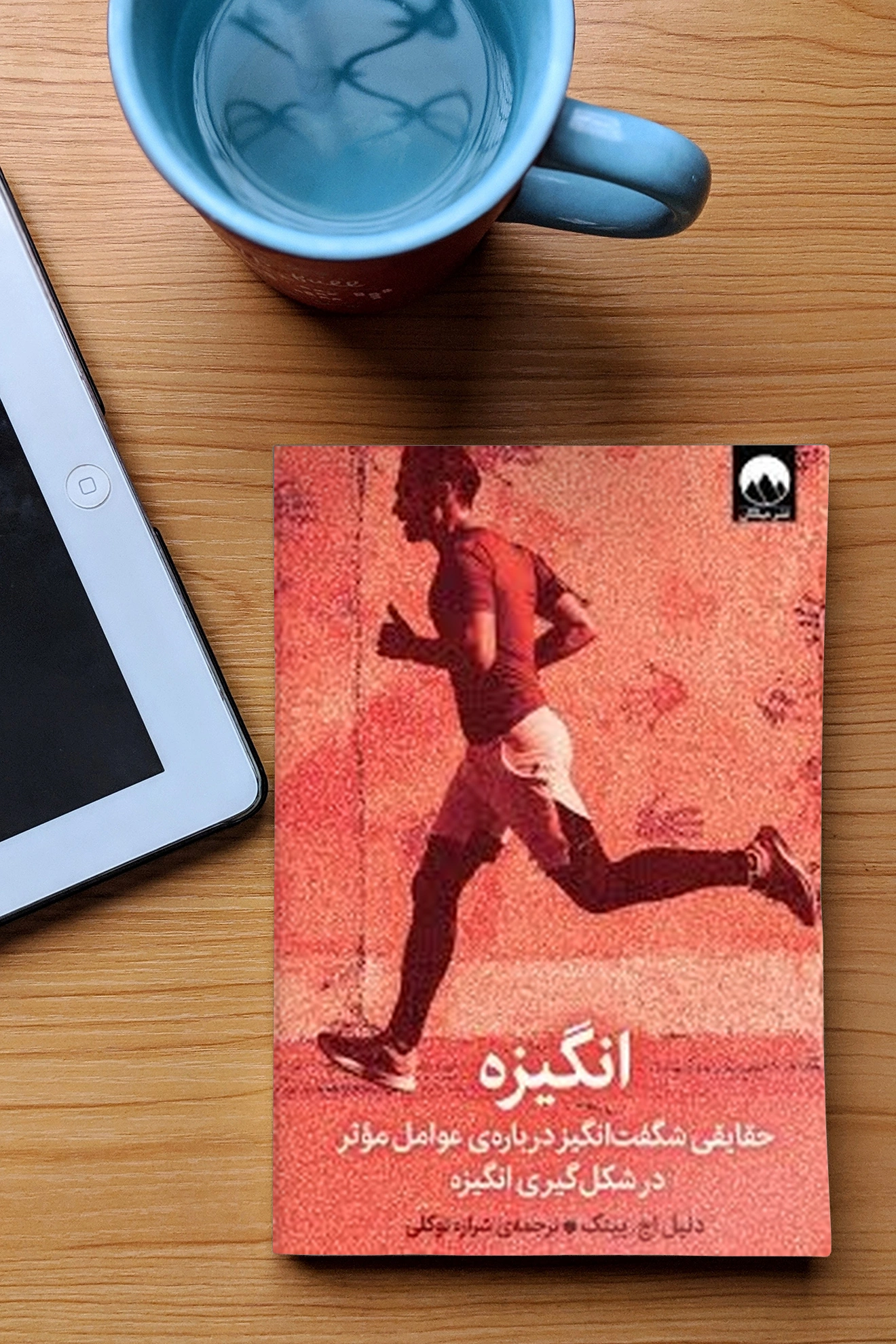 کتاب انگیزه (حقایقی شگفت انگیز درباره ی عوامل موثر در شکل گیری انگیزه) اثر دنیل اچ پینک ترجمه شراره توکلی نشر میلکان 1
