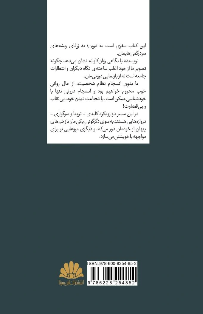 کتاب در جستجوی خود (بازیابی خویشتن در هزار توی زندگی) اثر فرنوش حضرتی نشر ابن سینا 0