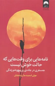 کتاب نامه هایی برای وقت هایی که حالت خوش نیست (همسفری در جاده ی پر پیچ و خم زندگی) اثر جولی اسمیت ترجمه آرزو شنطیائی نشر میلکان