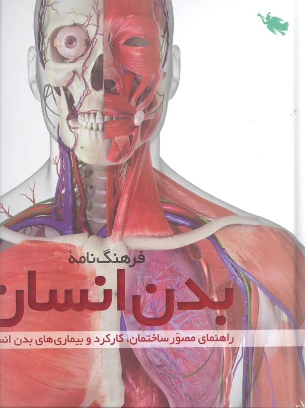 کتاب فرهنگ نامه بدن انسان اثر جمعی از نویسندگان نشر طلایی