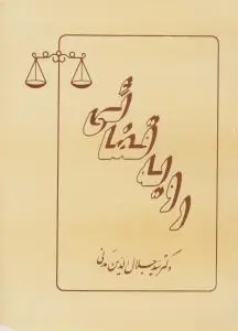 رویه قضایی اثر سید جلال الدین مدنی
