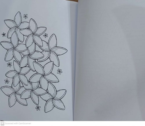 کتاب رنگ آمیزی برای بزرگسالان ( ماجراجویی استوایی ) : نقش هایی برای رهایی از استرس و رسیدن به آرامش اثر محمد مهدی کاظم زاده نشر گام اول 2