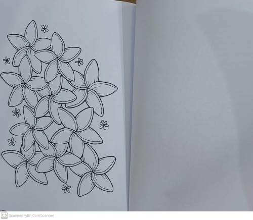 کتاب رنگ آمیزی برای بزرگسالان ( ماجراجویی استوایی ) : نقش هایی برای رهایی از استرس و رسیدن به آرامش اثر محمد مهدی کاظم زاده نشر گام اول 2
