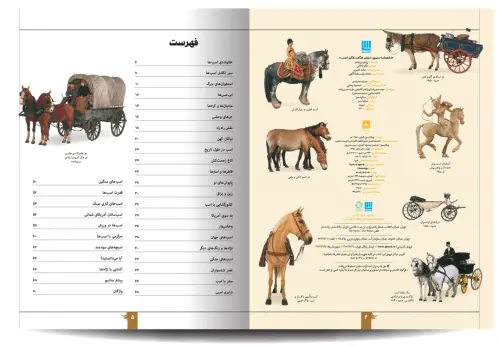 کتاب دانشنامه مصور دنیای شگفت انگیز اسب اثر جولیت کلاتن براک ترجمه الهام شوشتری زاده 1
