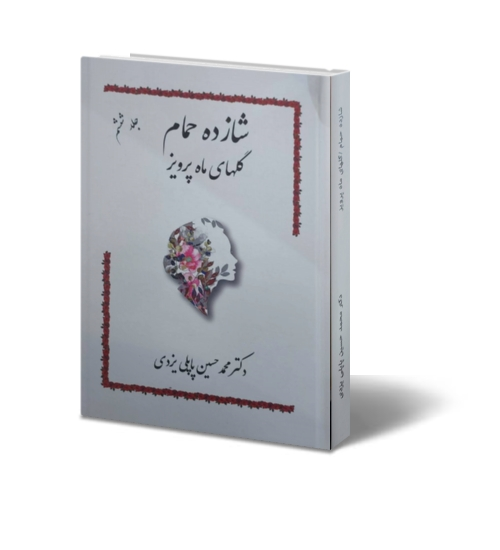 کتاب شازده حمام جلد ششم  : ( گلهای ماه پرویز ) اثر دکتر محمدحسین پاپلی یزدی نشر گوتنبرگ 0