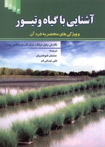 آشنایی با گیاه و تیور و ویژگی های منحصر به فرد آن