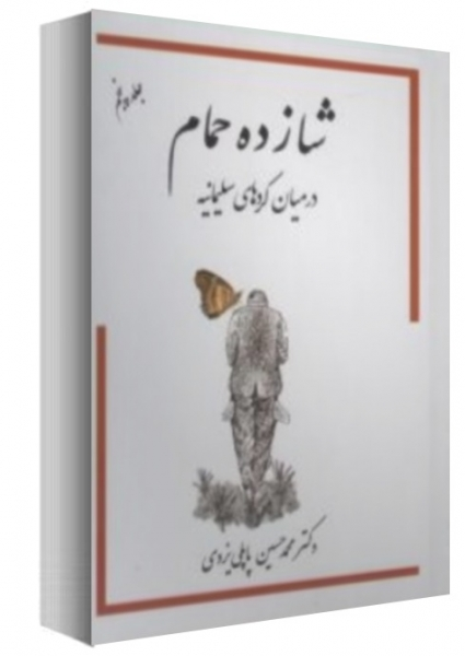 کتاب شازده حمام (جلد پنجم) (بخش یک و دو) اثر محمد حسین پاپلی یزدی  0